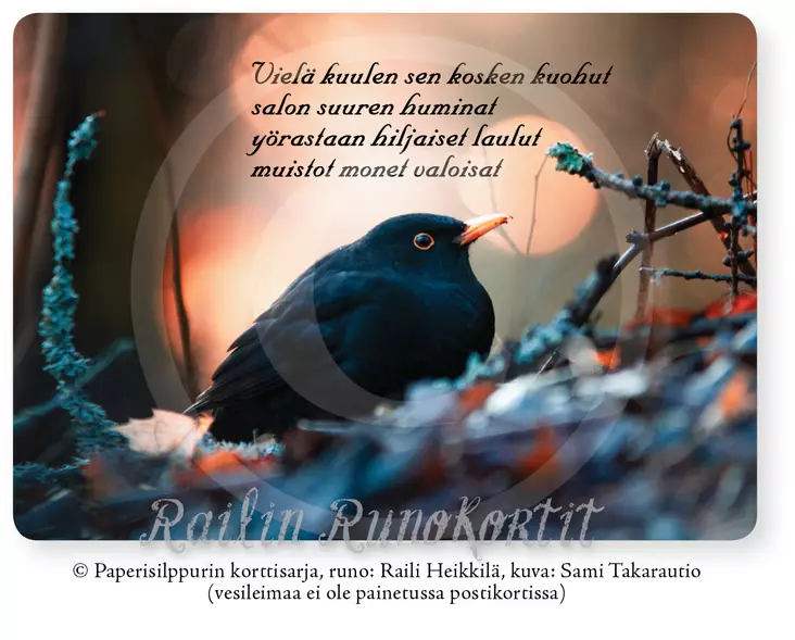 Railin runokortti Mustarastas hämärässä - Postikortti - 6430035782840 - 1