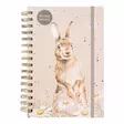 Wrendale vieraskirja A5 Rabbit - Muistikirjat, vihkot ja lehtiöt - 5056464326861 - 1