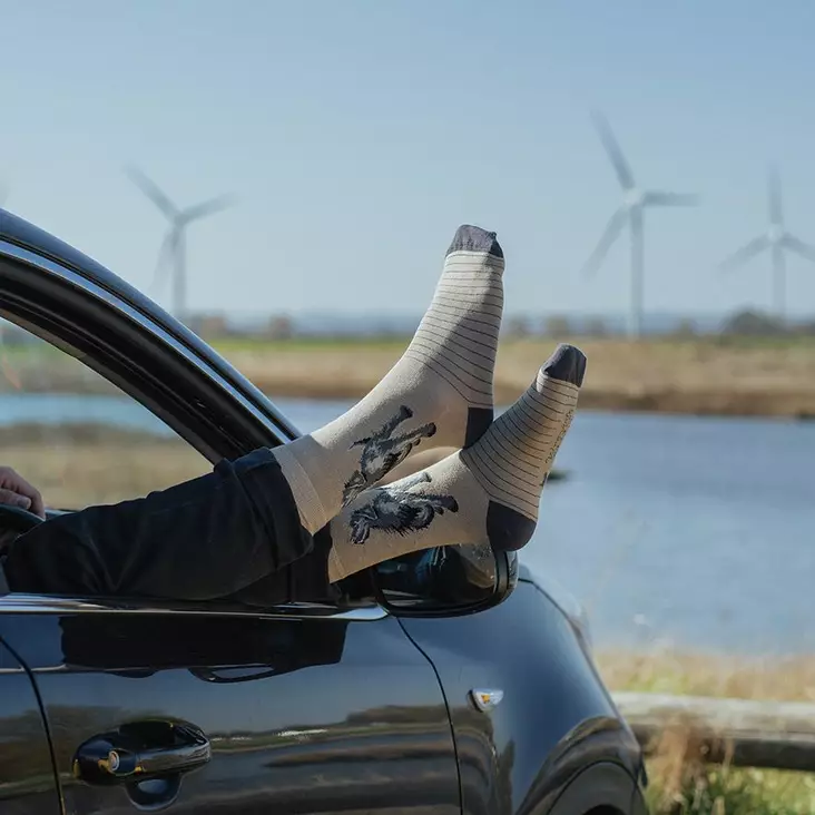 Wrendale Bambusukat koira L - Sukat - 5056464399452 - 1