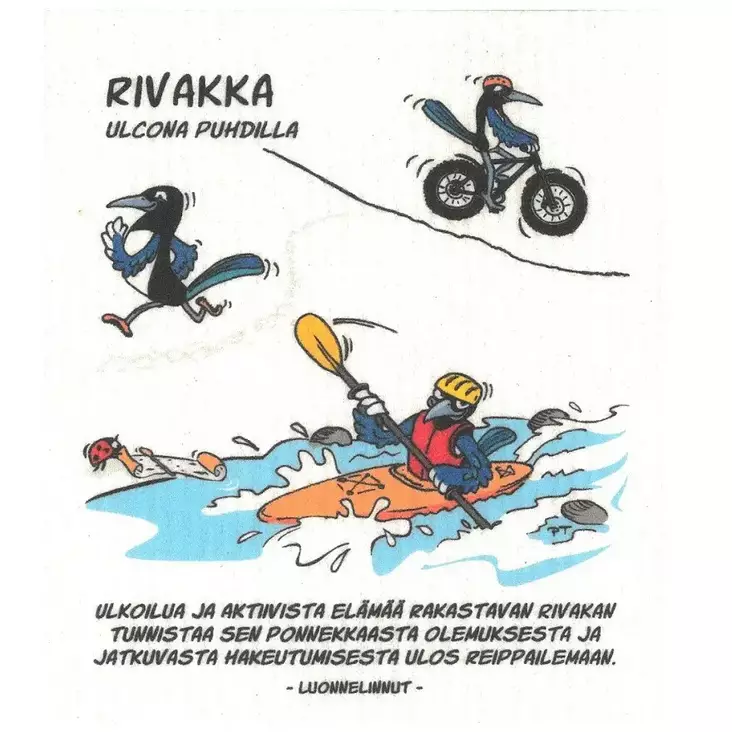 Keittiöliina / tiskirätti Rivakka - Keittiöliinat - 6430026060353 - 1