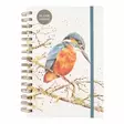Wrendale vieraskirja A5 Kingfisher - Muistikirjat, vihkot ja lehtiöt - 5056464326854 - 1