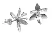 "Lilja" nappikorvakoru 925 hopea - Korvakorut - 6430063668154 - 1