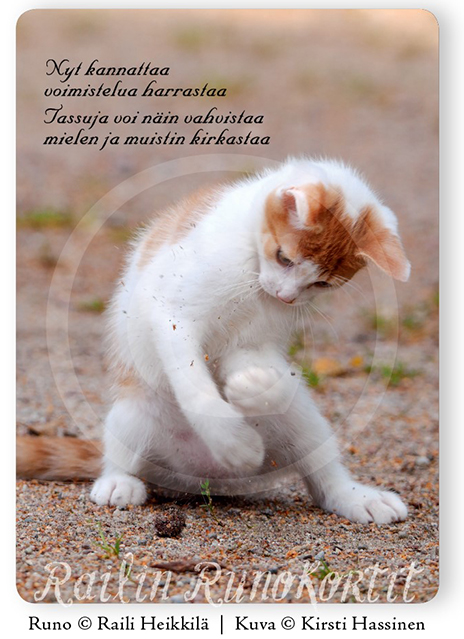 Railin runokortit Voimisteleva kissanpen - Postikortti - 6430035782284 - 1
