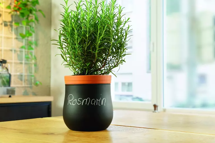 Altakasteleva ruukku L kaksiosainen - Puutarha ja ruukut - 4002541577795 - 1