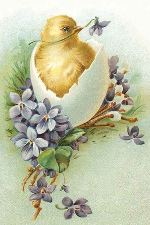 Kortti pääsiäistipu - Pääsiäiskortit - 7340117743715 - 1