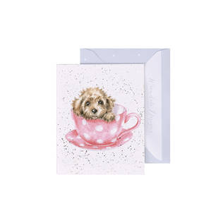 Wrendale 2-os minikortti, Teacup pup - Pakettikortti - 5056272909676 - 1