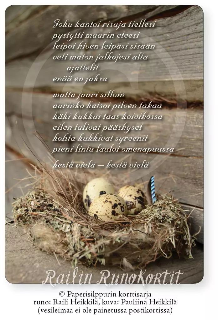 Railin runokortit Linnunpesä - Postikortti - 6430035782789 - 1